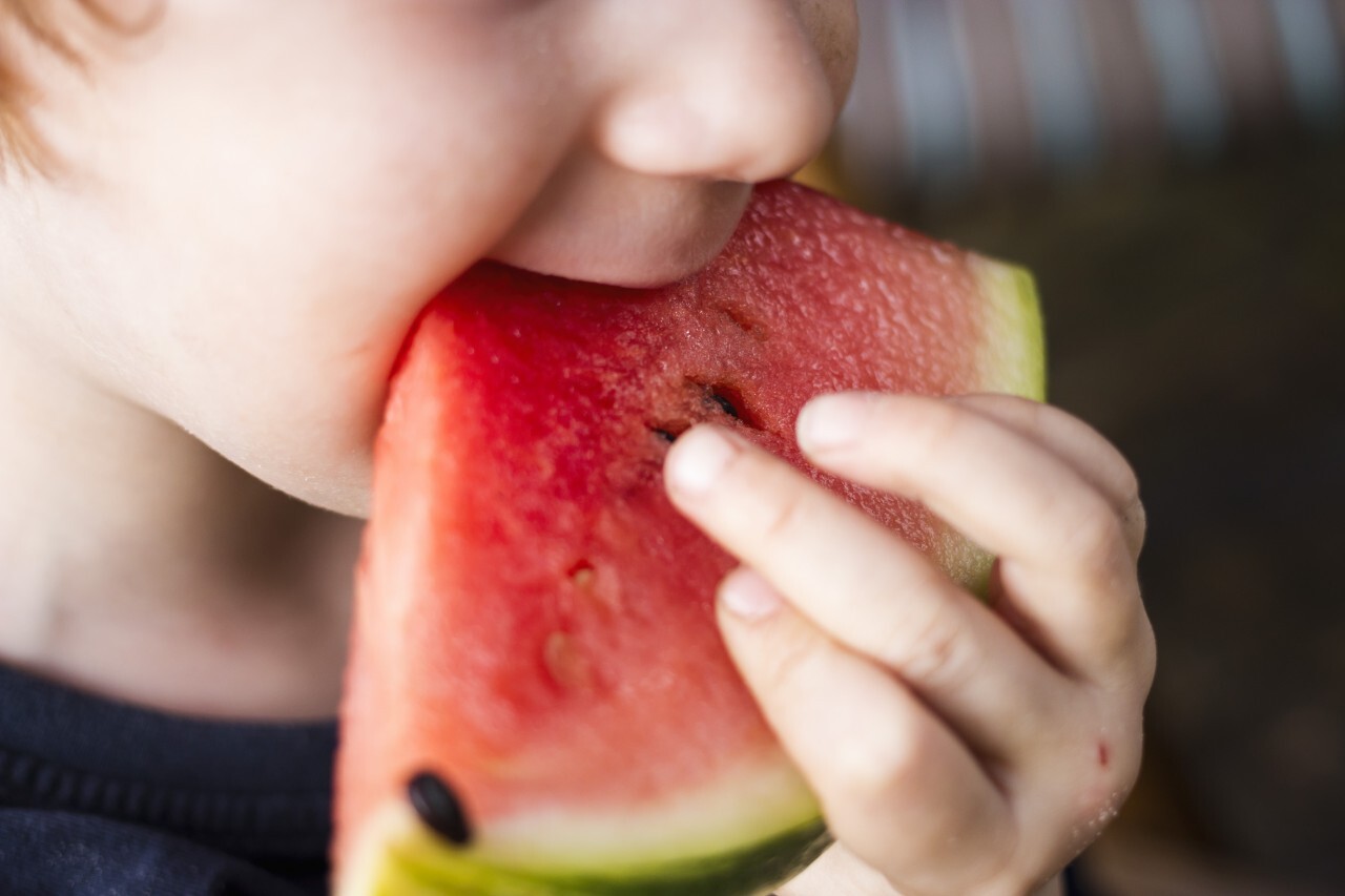 child eats watermelon