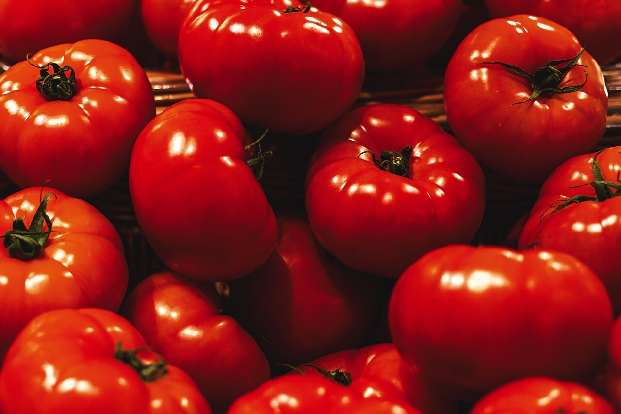 Very Nice Organic Ripe tomatoes