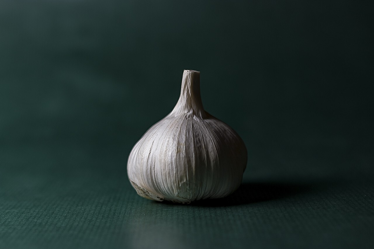 Closeup garlic on green background