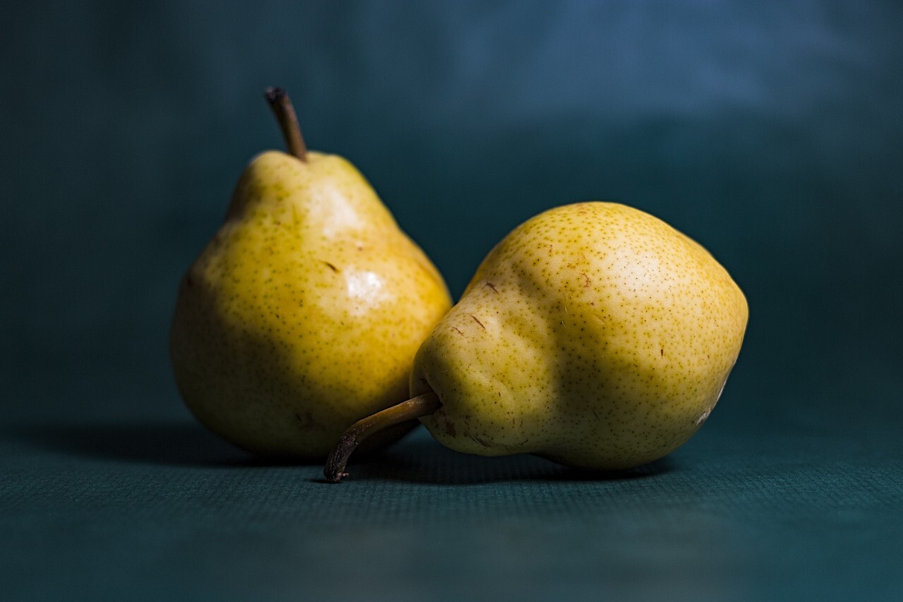 two pears on a blue background