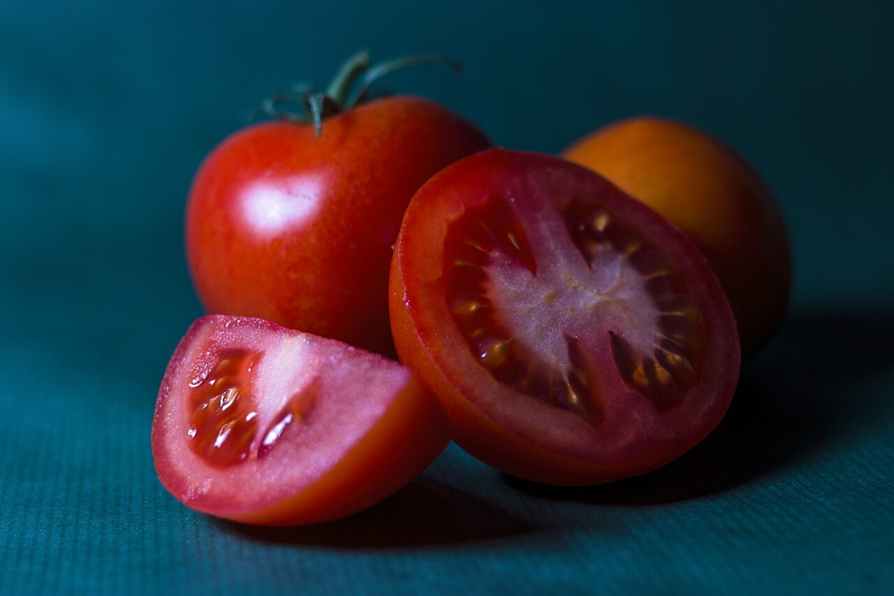 tomatoes on blue background