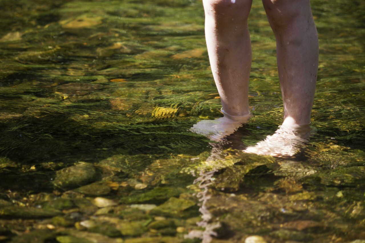 children with feets in forest creek in nature adventure