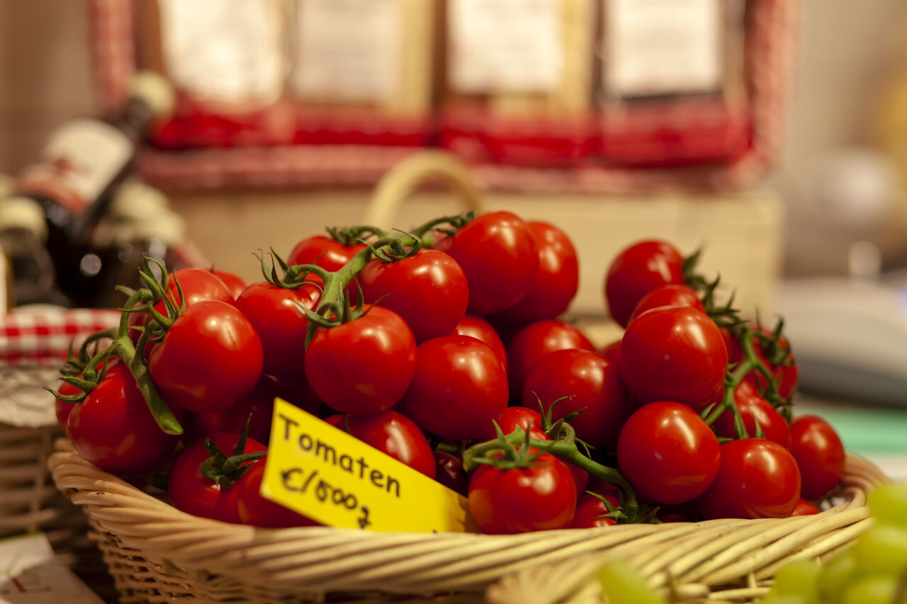 fresh tomatoes in a basket