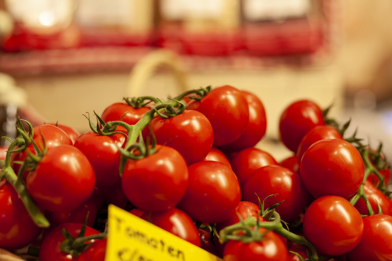 fresh tomatoes in a basket
