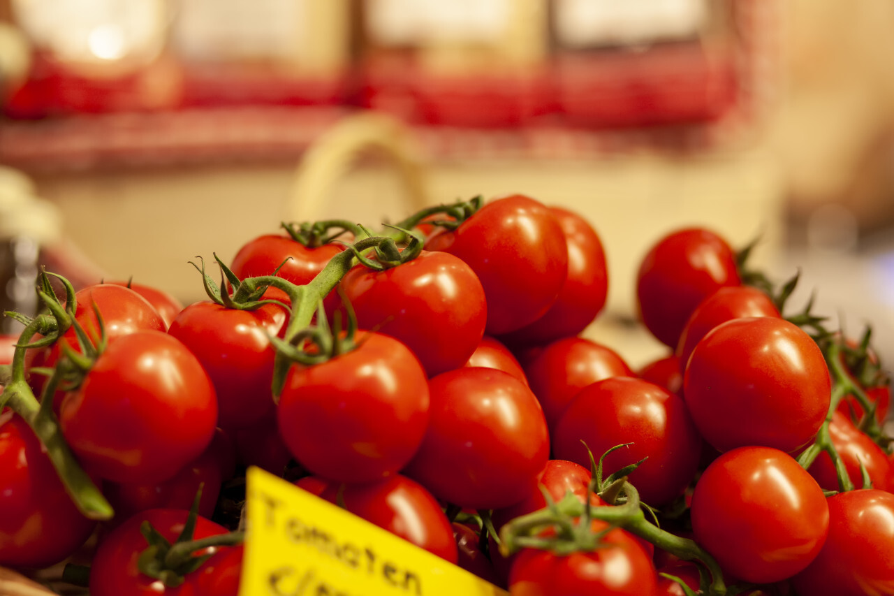 fresh tomatoes in a basket