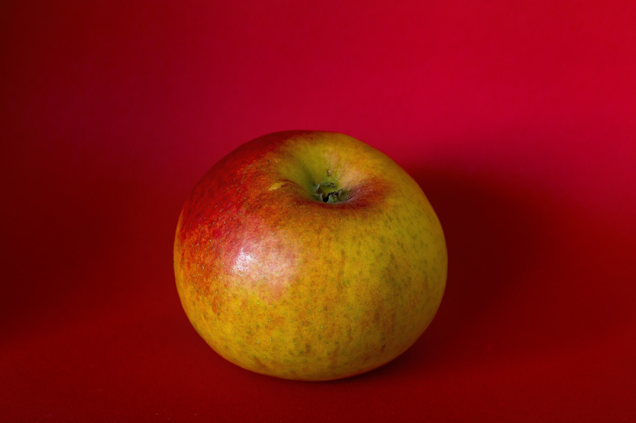 greenish red apple on a red background