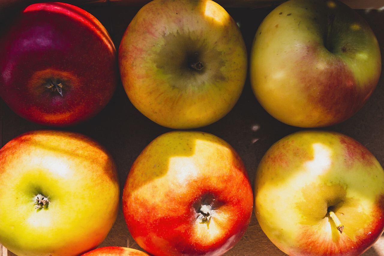 six apples in a wooden box