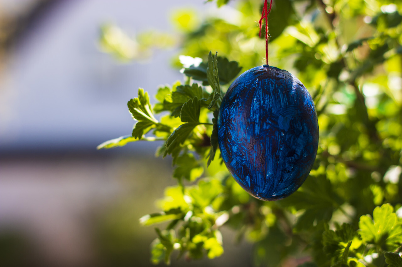 Decorative Easter egg hanging on tree