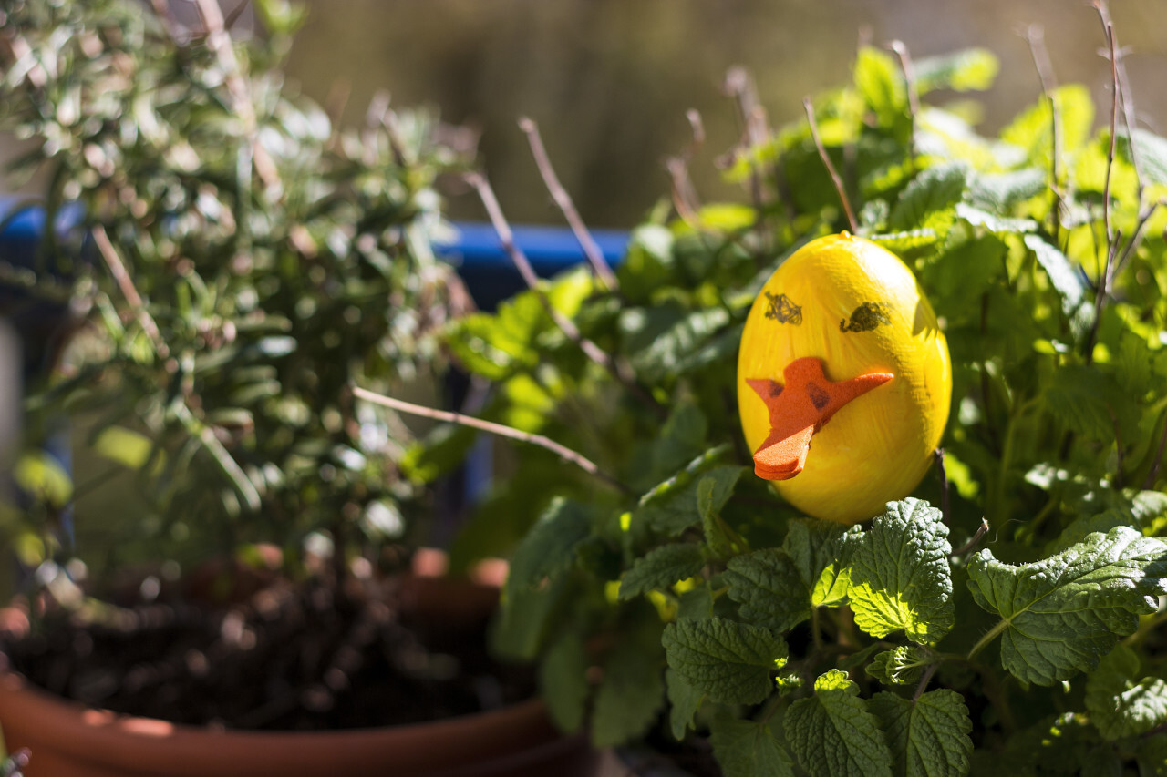 easter egg easter duck handicraft