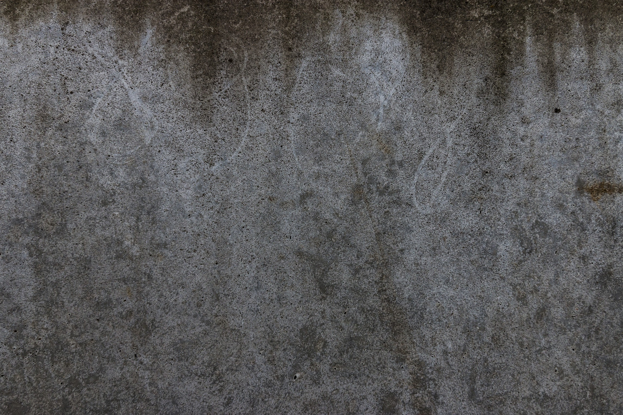 gray concrete stone texture