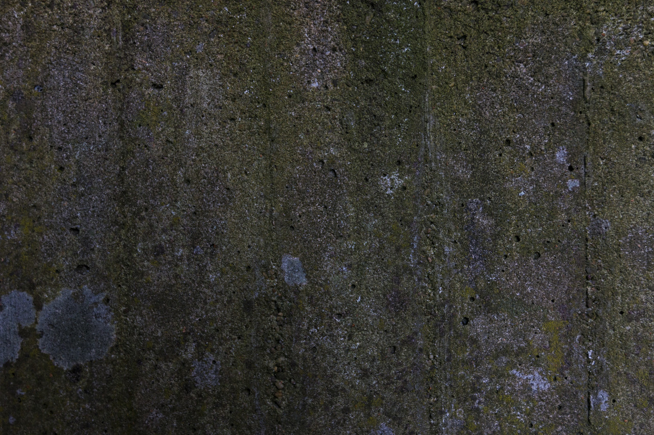 mossy concrete stone texture