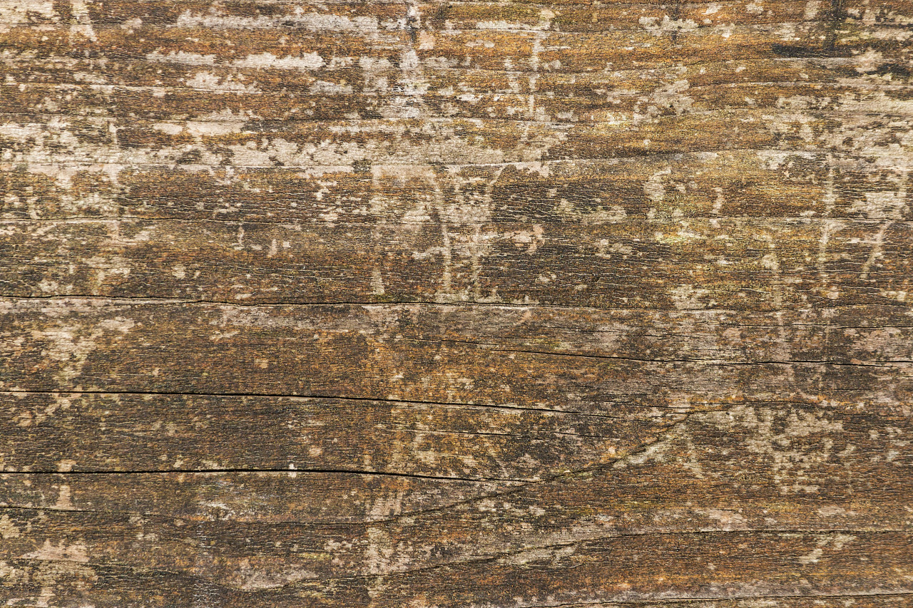 weathered light wood texture