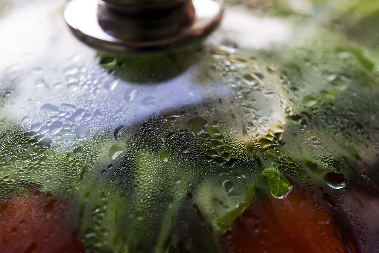 cooking pot with fresh ingredients