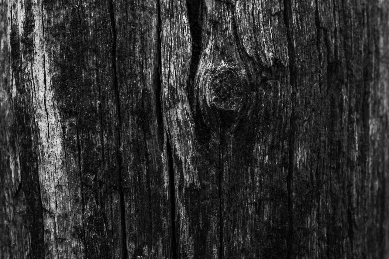 woodtexture blacknwhite