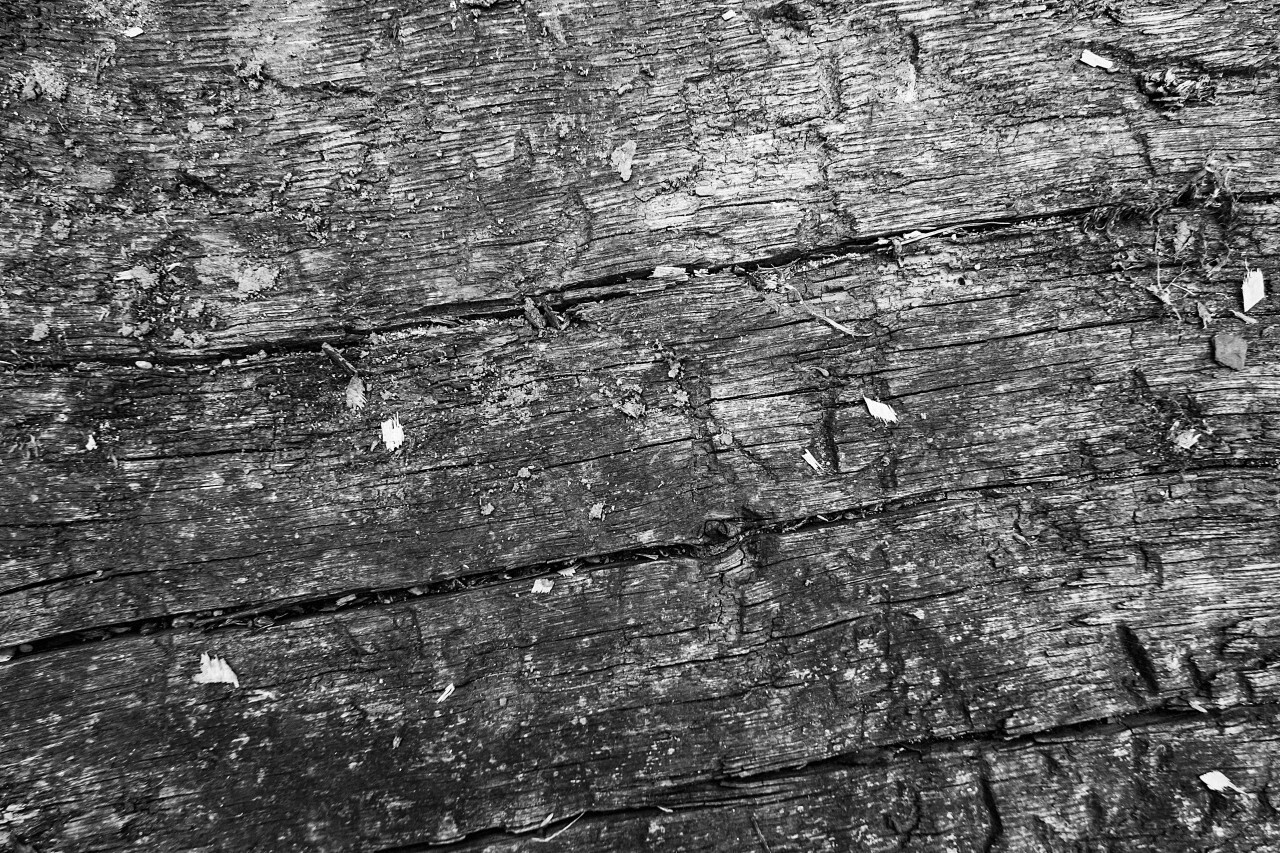 cracked wood texture blacknwhite