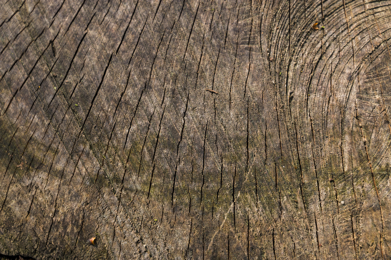 wood grain texture