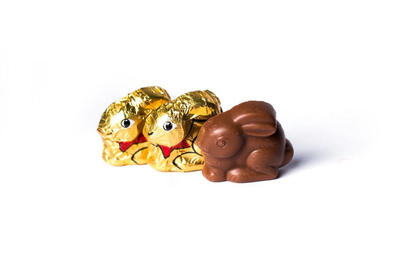 gold wrapped chocolate easter bunny isolated on white background