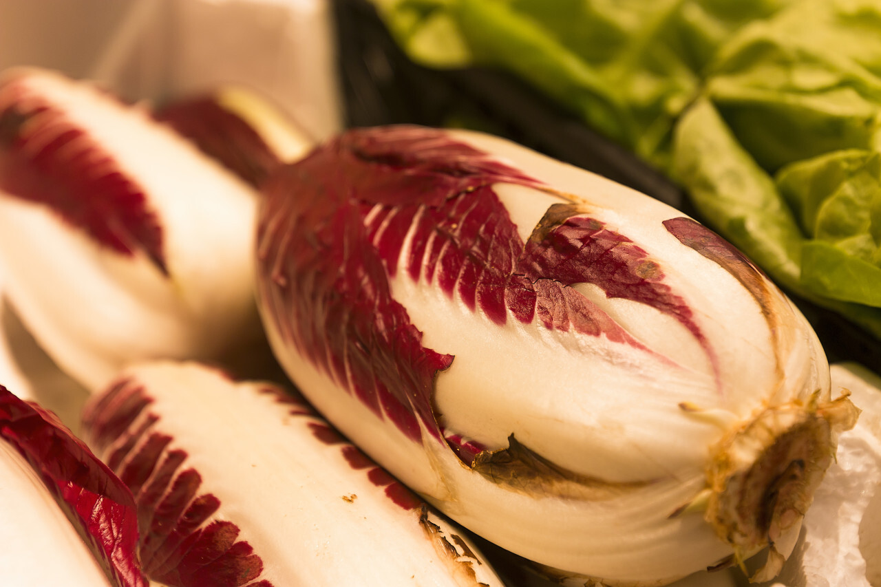 Radicchio Rosso