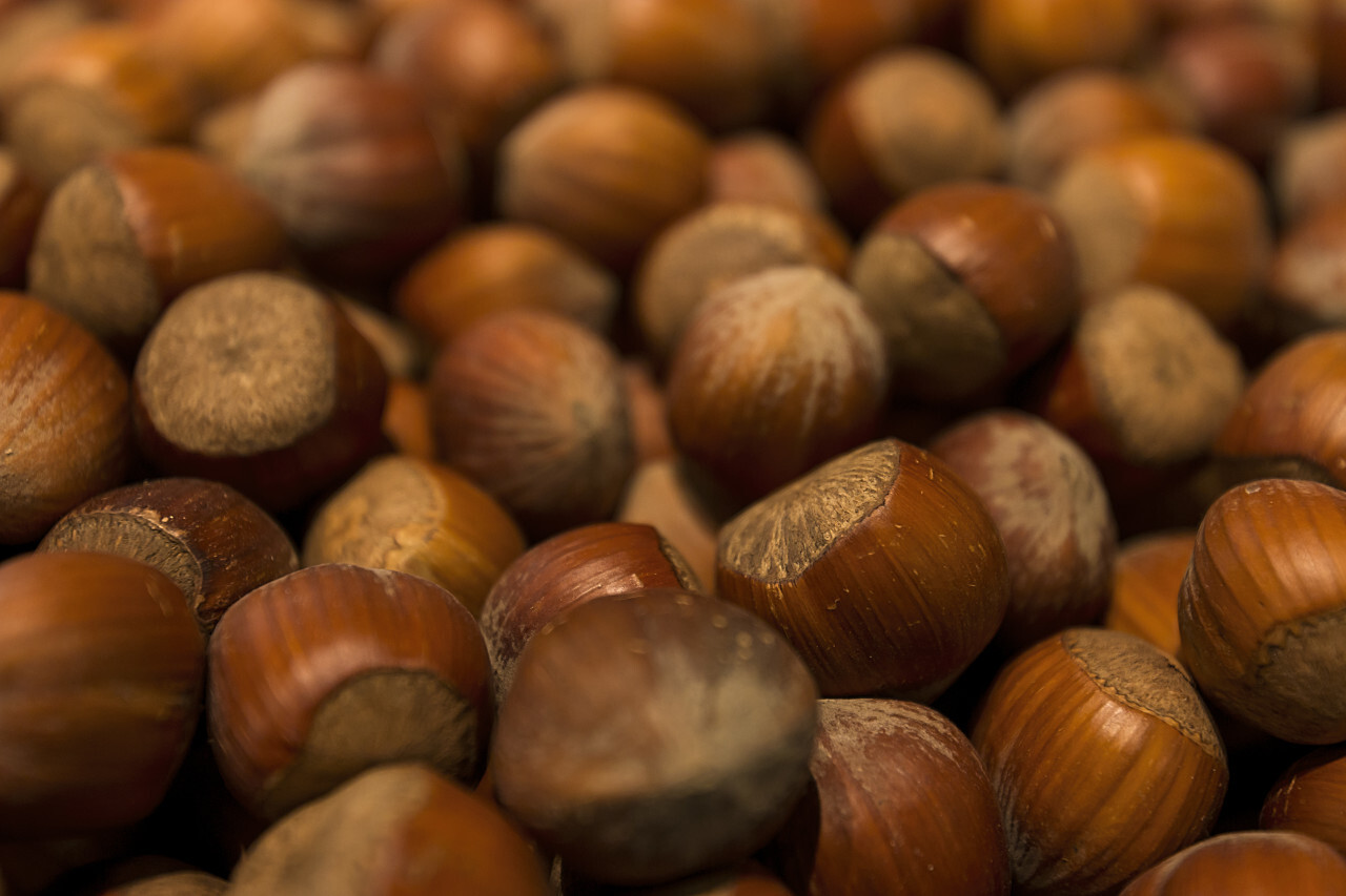 many hazelnuts