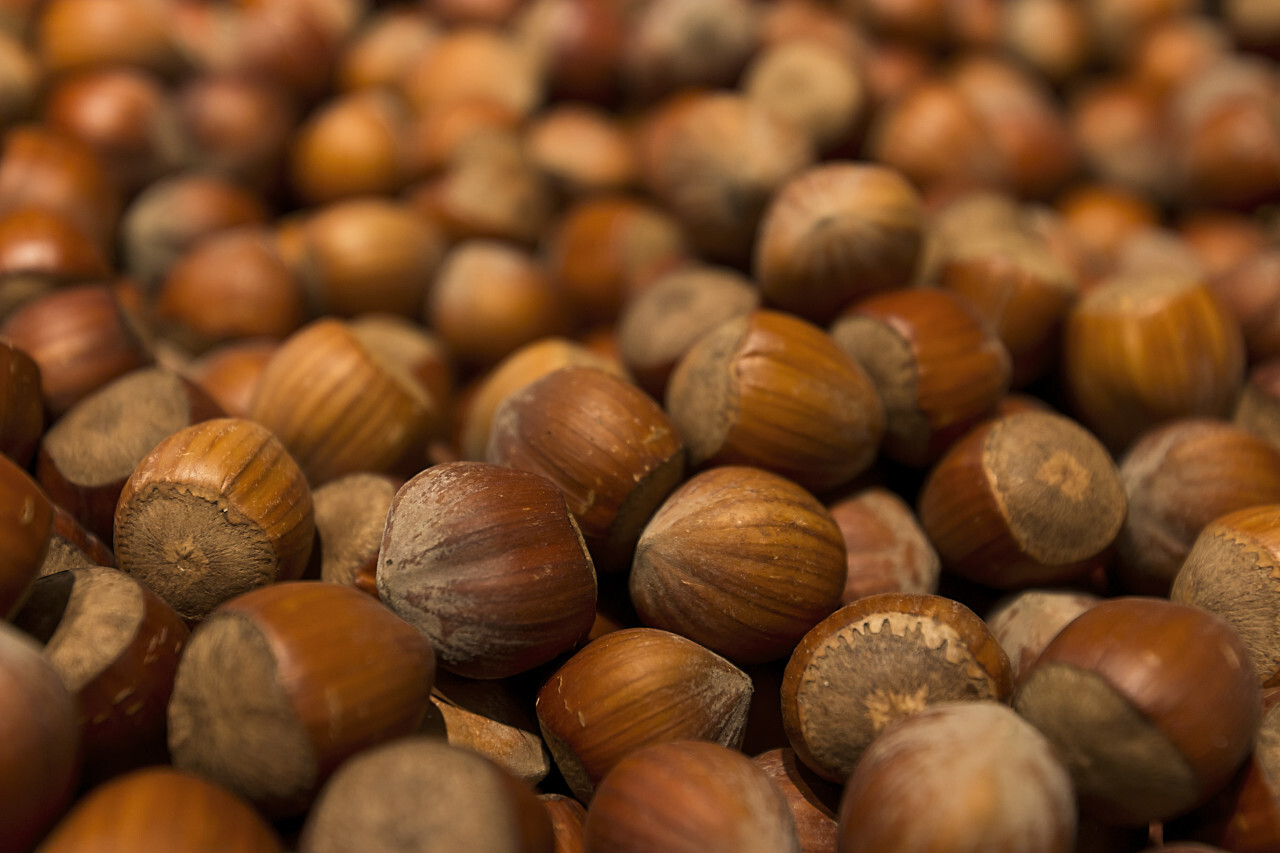 hazelnuts background. food photo concept