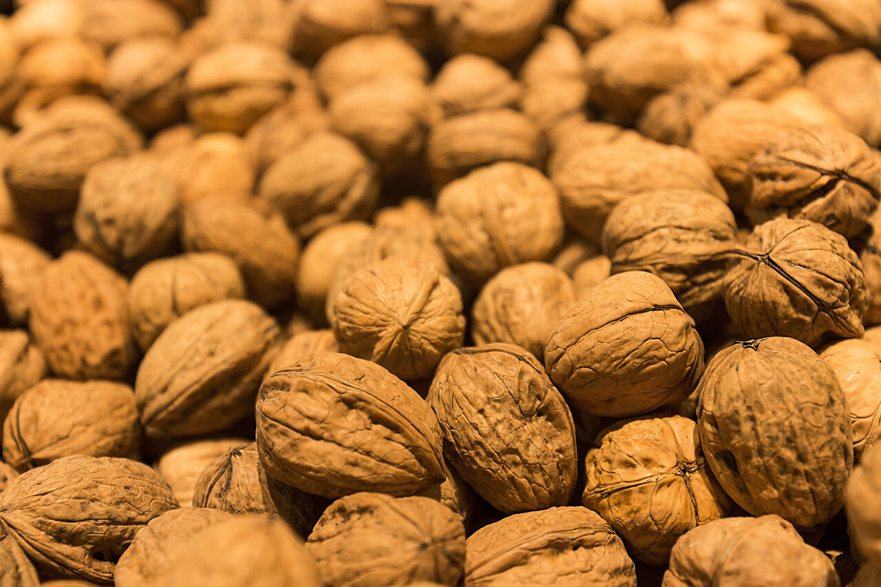 many walnuts