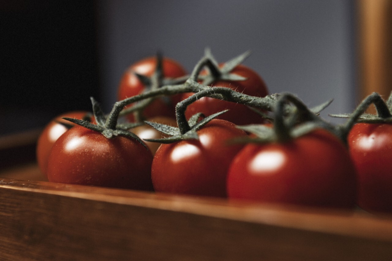 Small red cherry tomatoes on rustic background