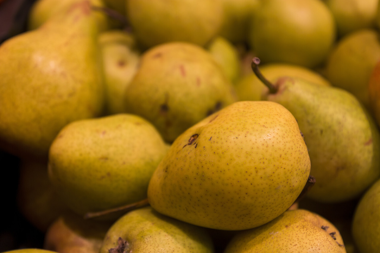 many delicious pears