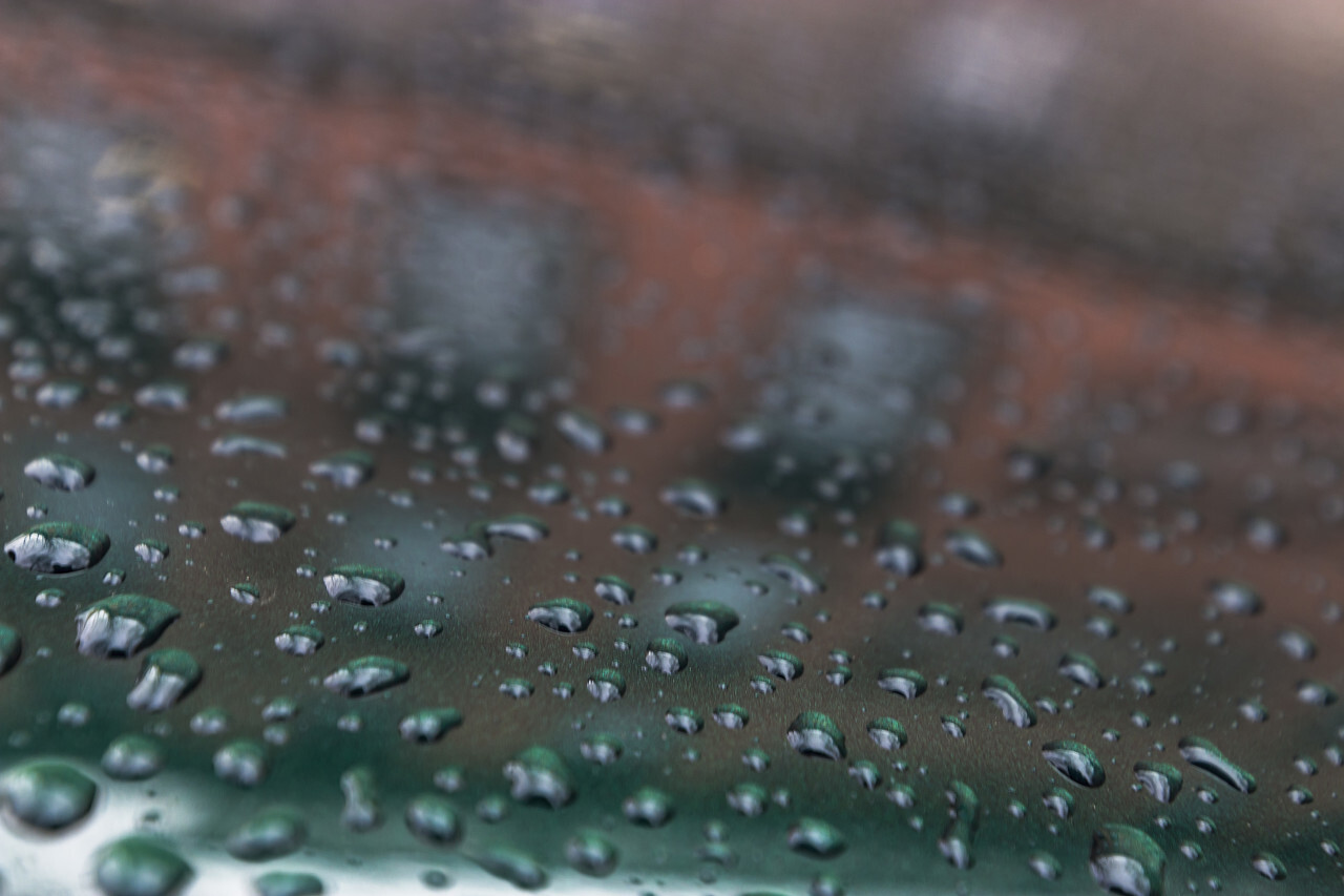 raindrops on green paint