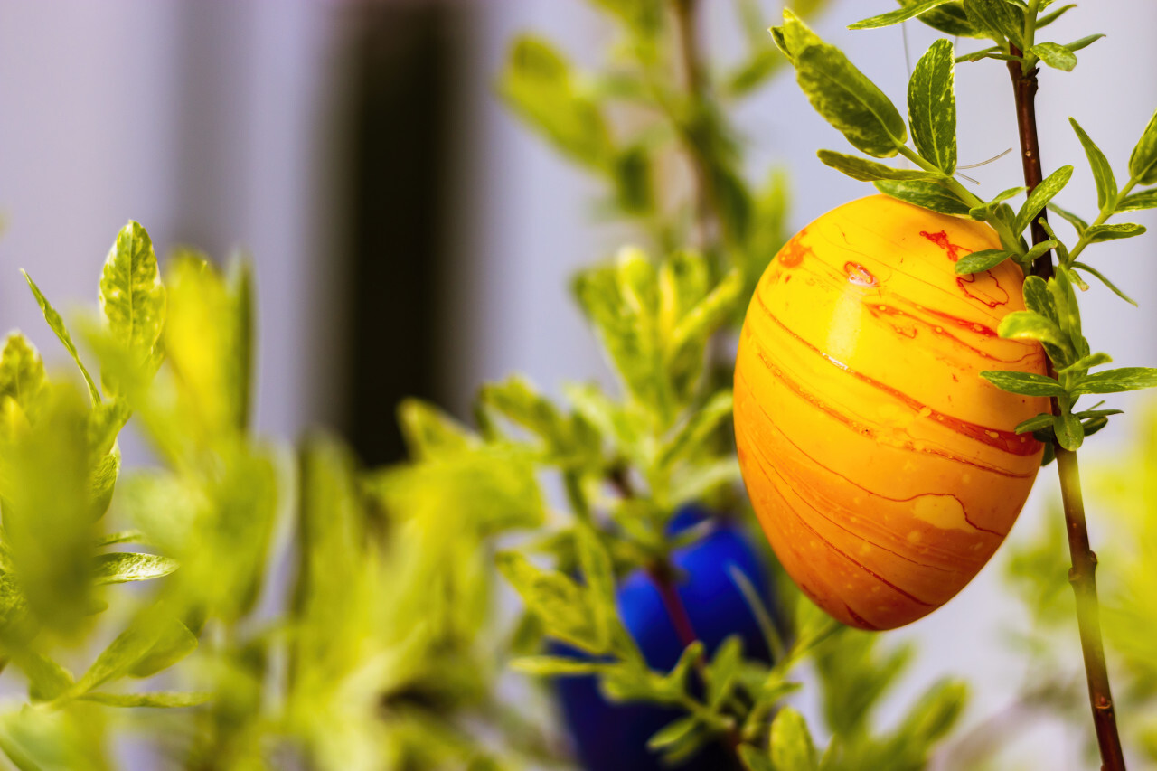 yellow easter egg hanging on a tree