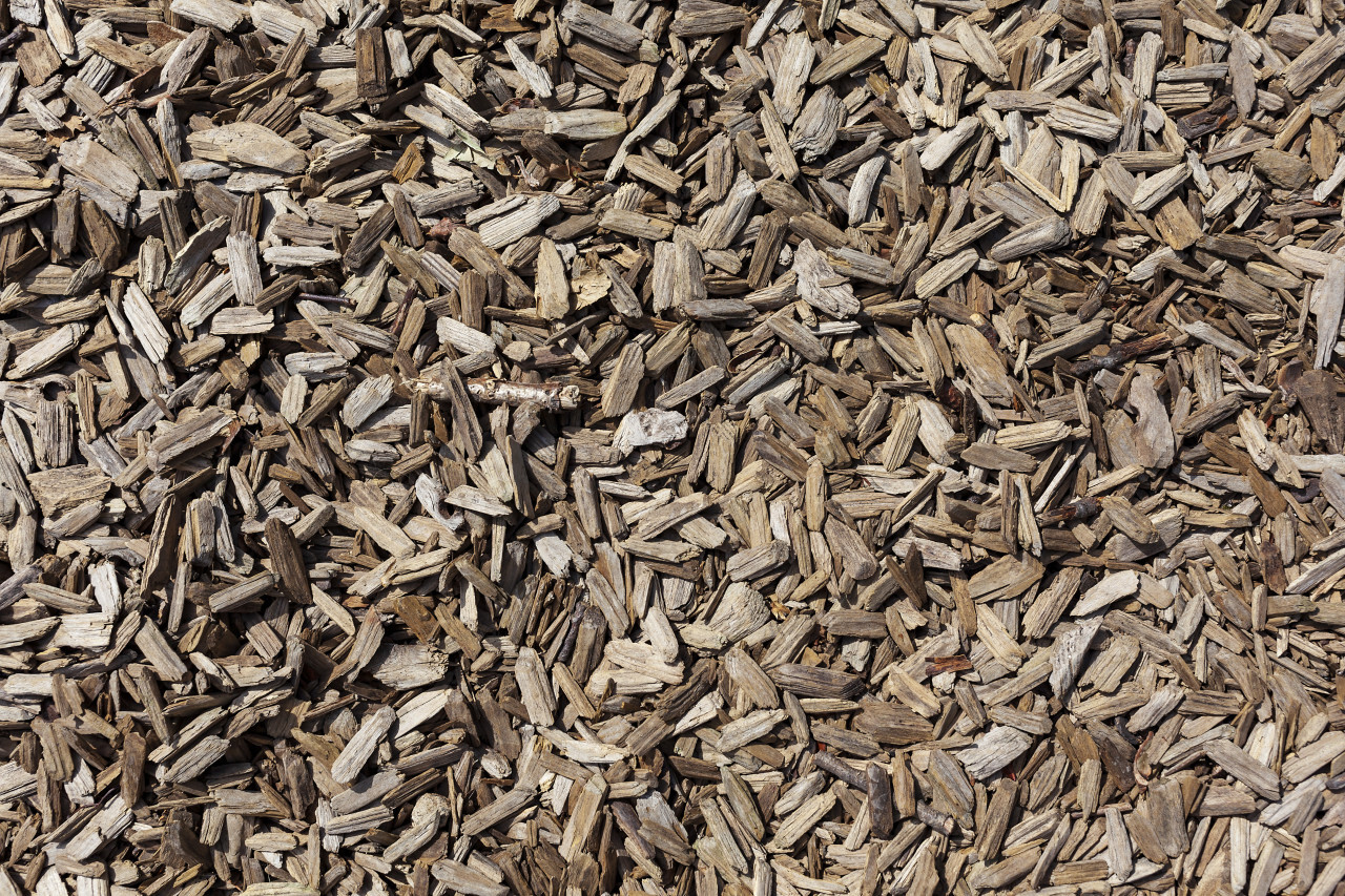 wood shavings texture