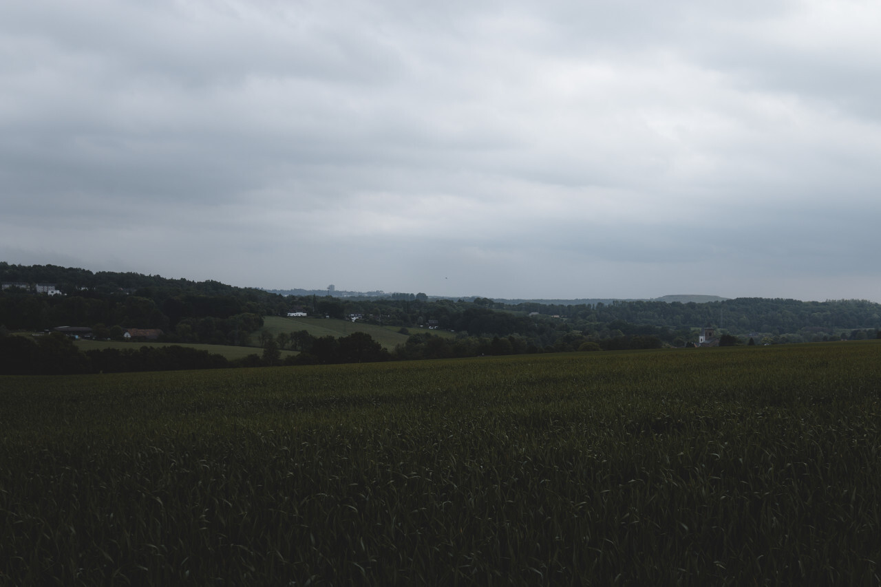 rural landscape