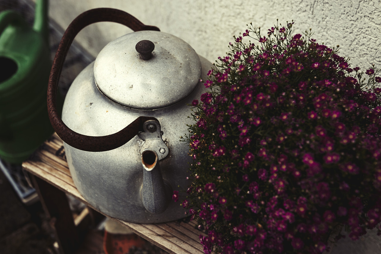 old rusty tea kettle