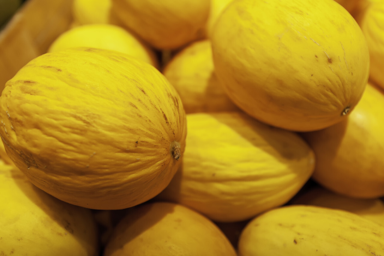 honey melons at the market stall