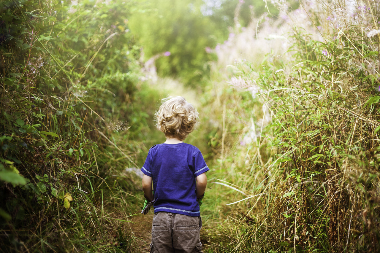 little boy exploring the nature