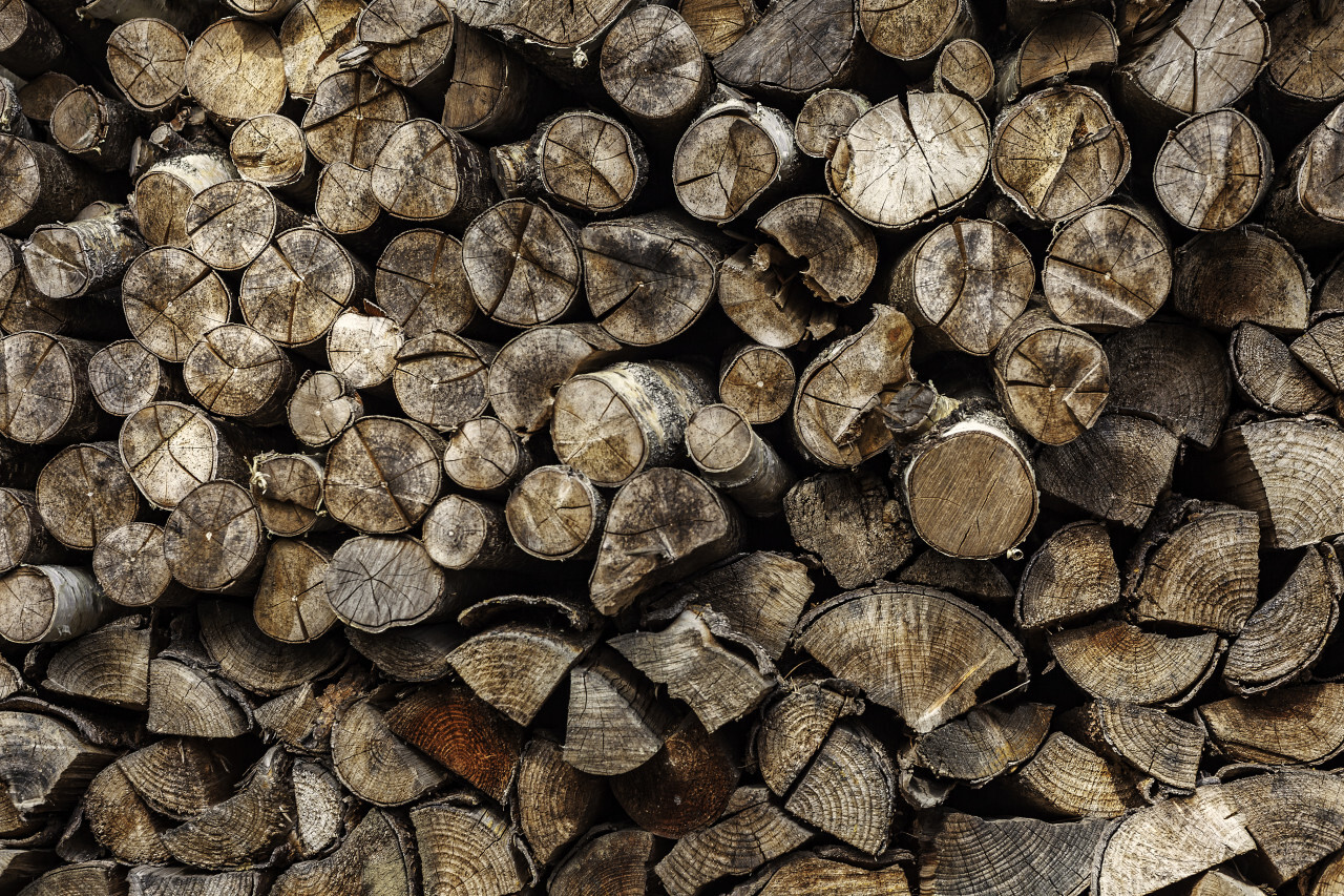 pile of chopped fire wood background