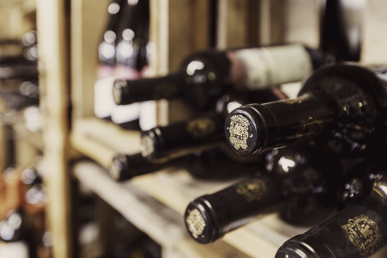 wine bottles in the wine cellar