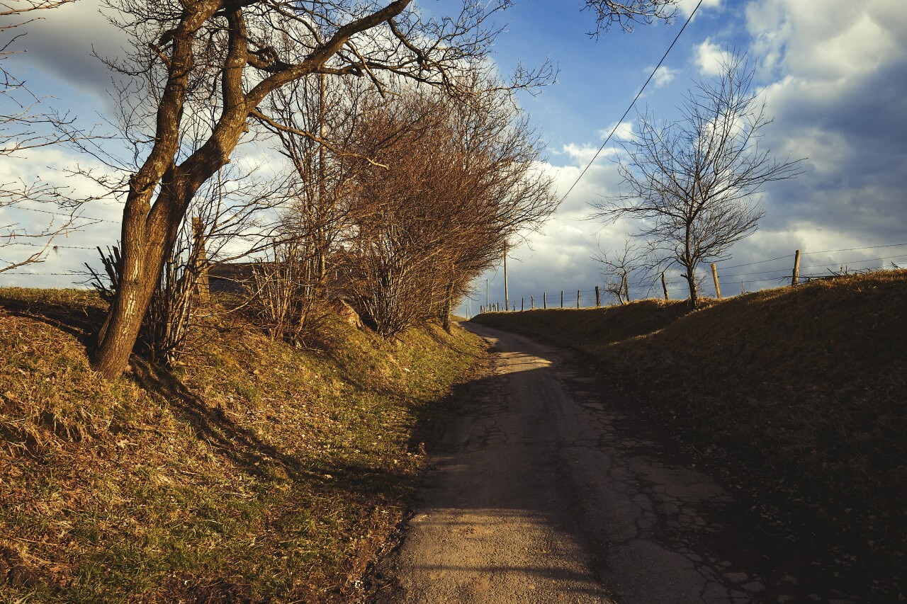 cane road in germany