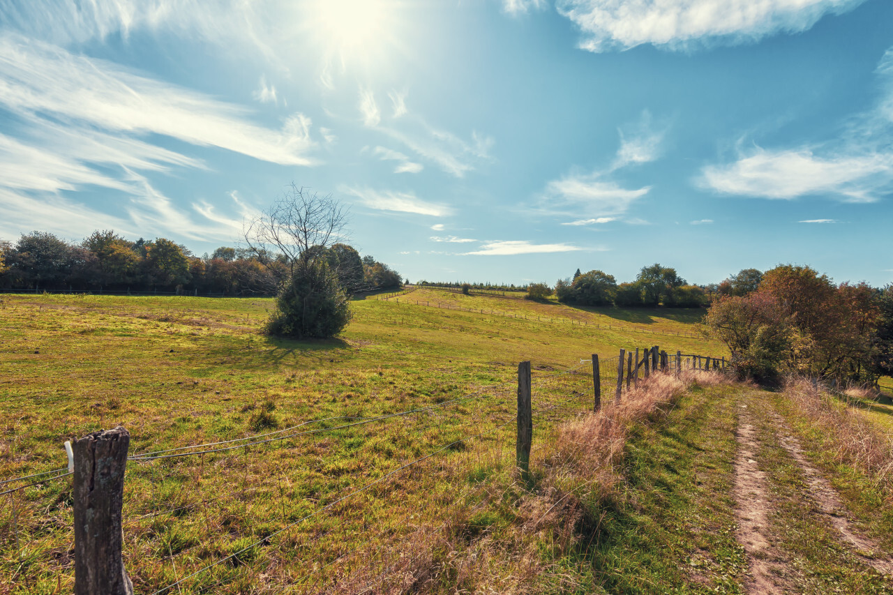 rural landscape with field and blue sky, wuppertal ronsdorf, nrw germany