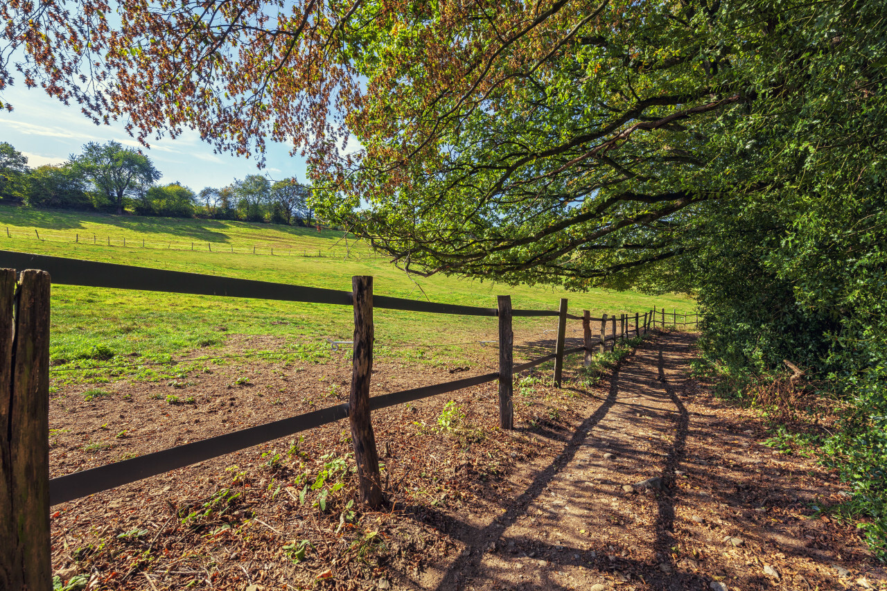 rural landscape with field and blue sky, wuppertal ronsdorf, nrw germany