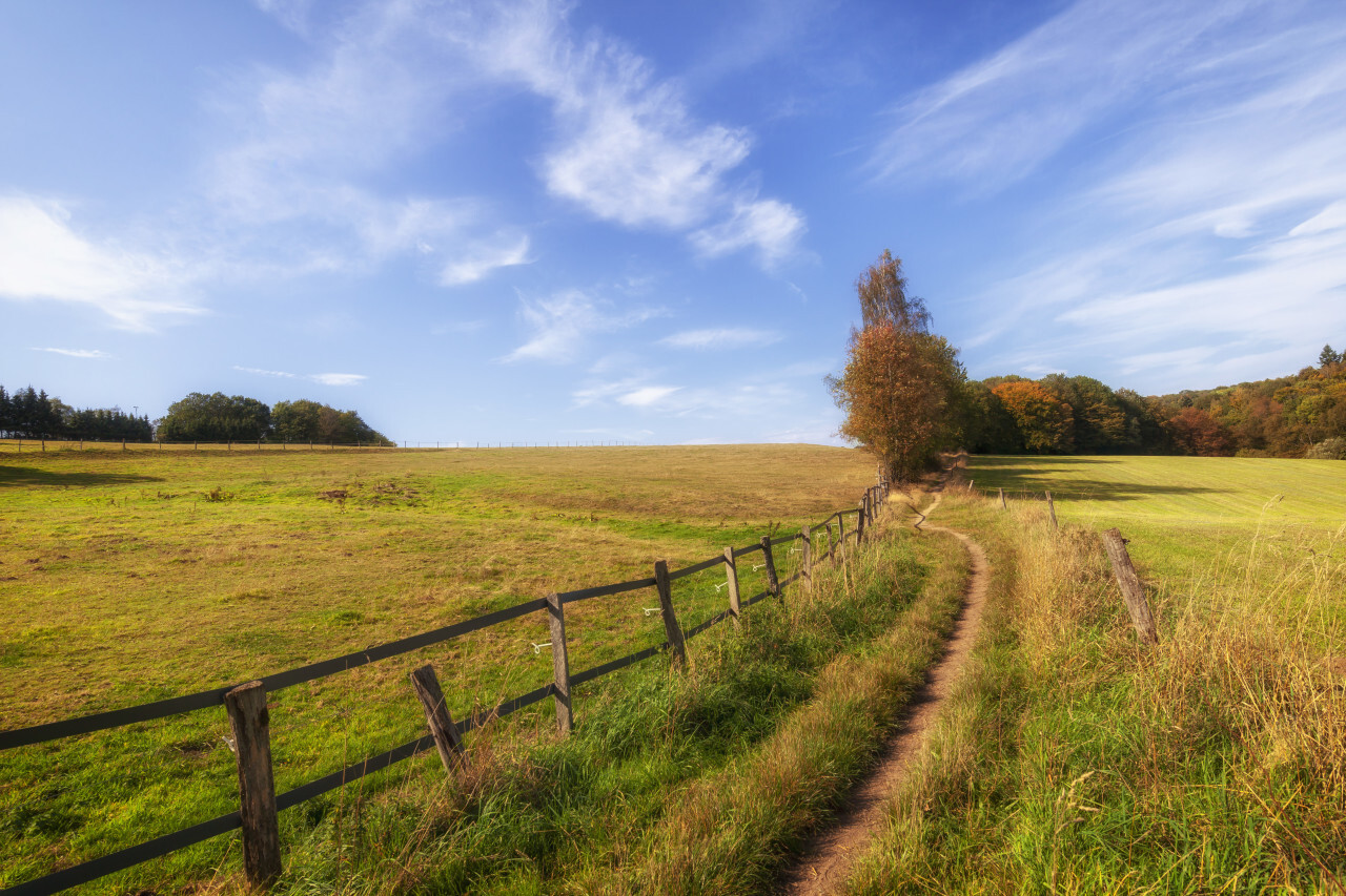 Rural Landscape in Germany