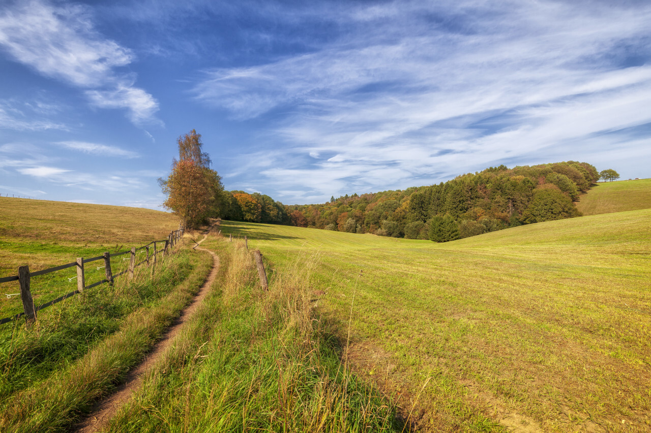 Rural Landscape in Germany