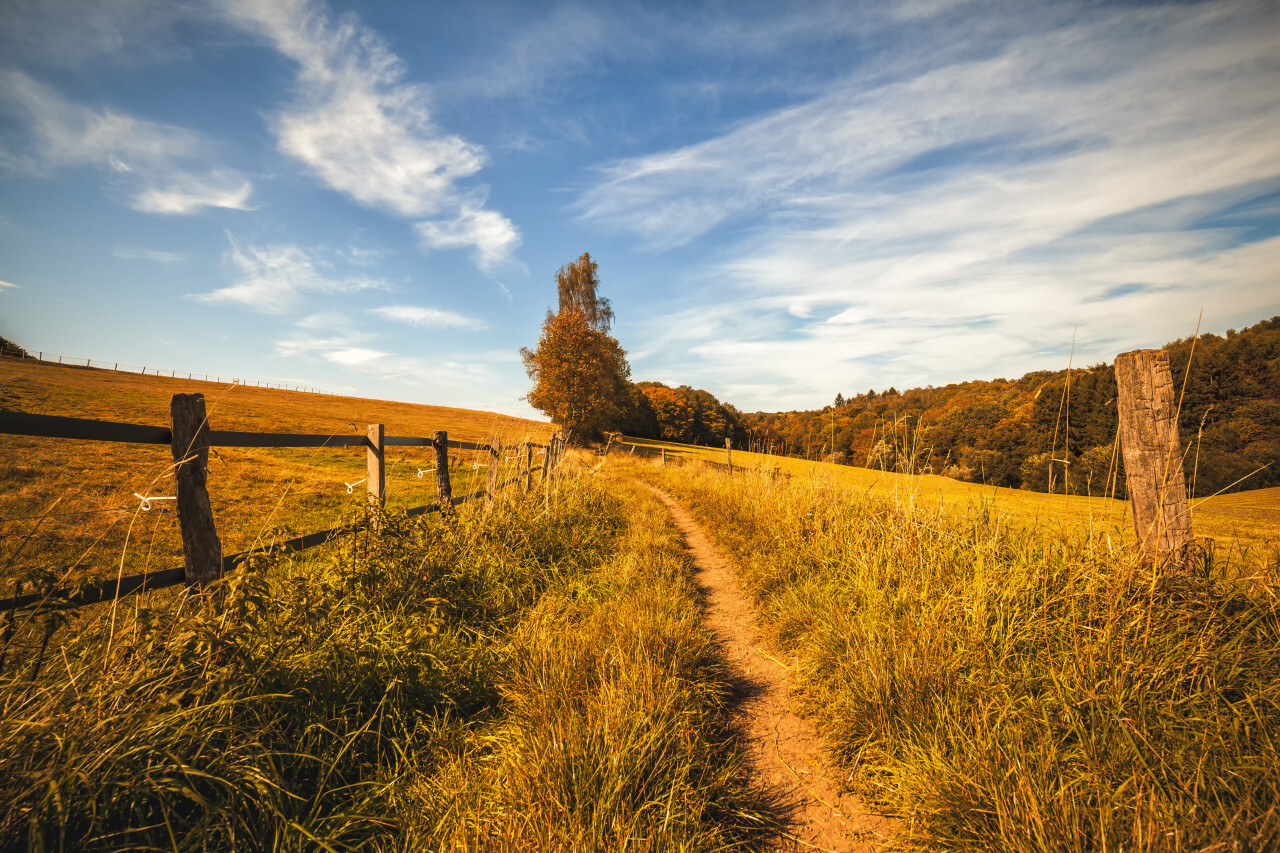 German rural landscape