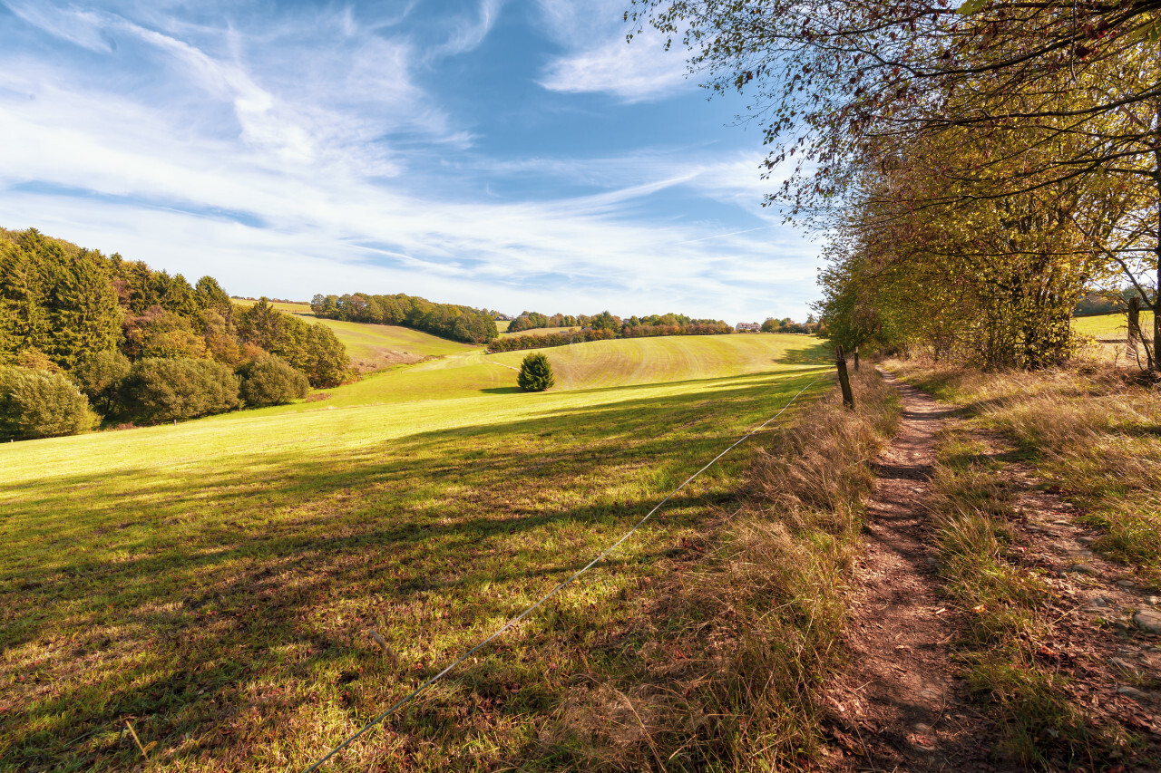 Rural Landscape in Germany