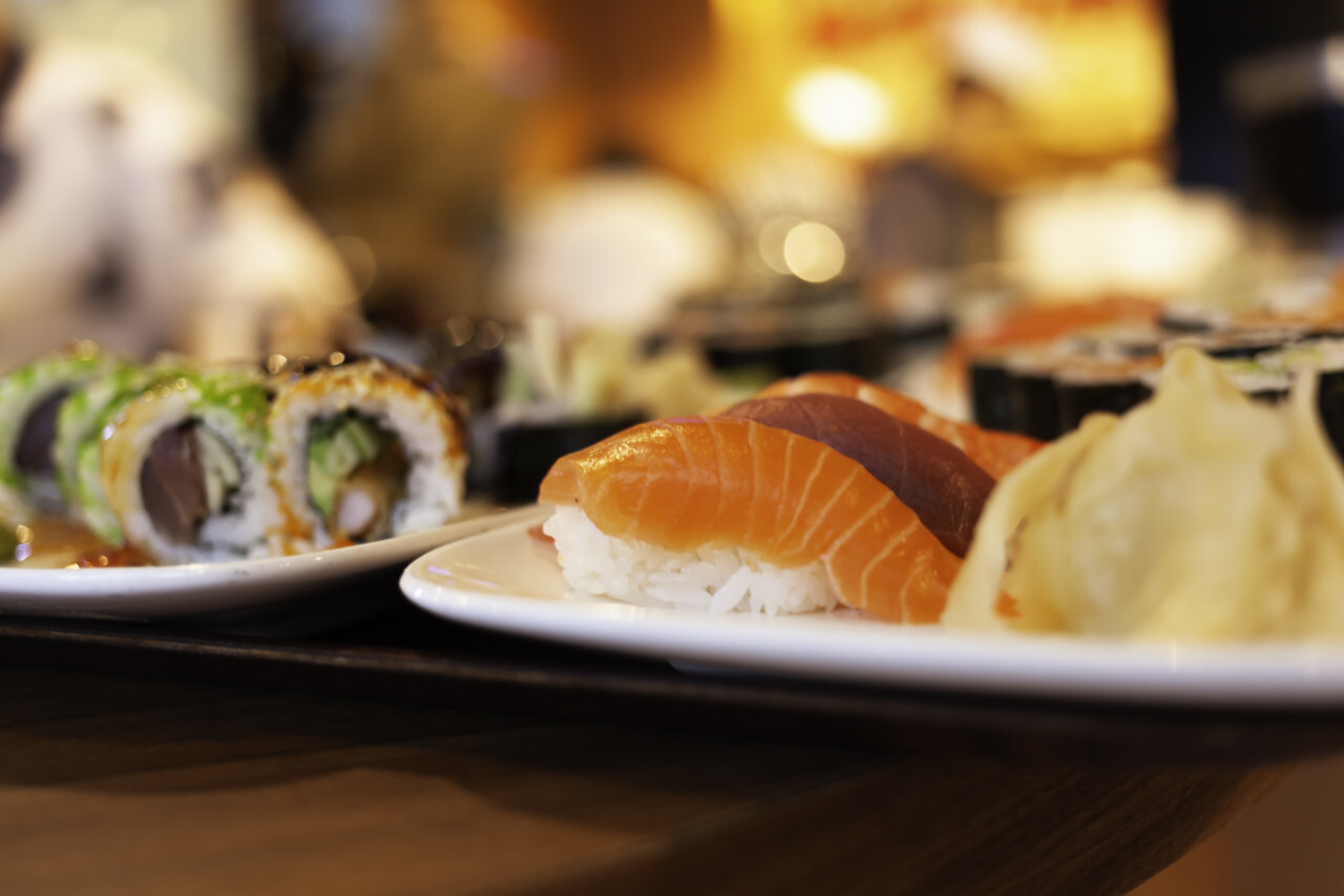 Japanese food - Sushi and sashimi