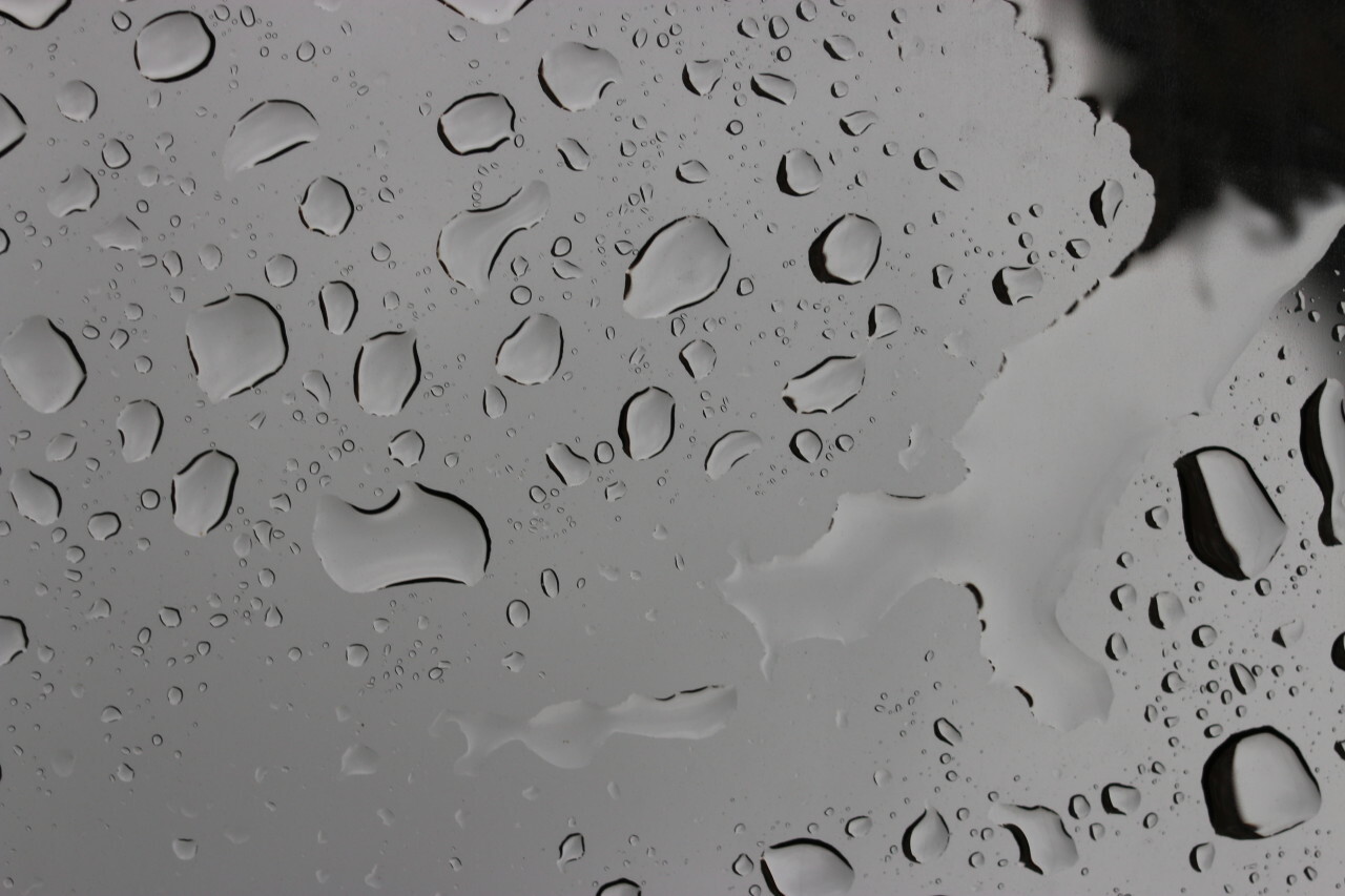 water droplets beading on a gloss black surface of a car