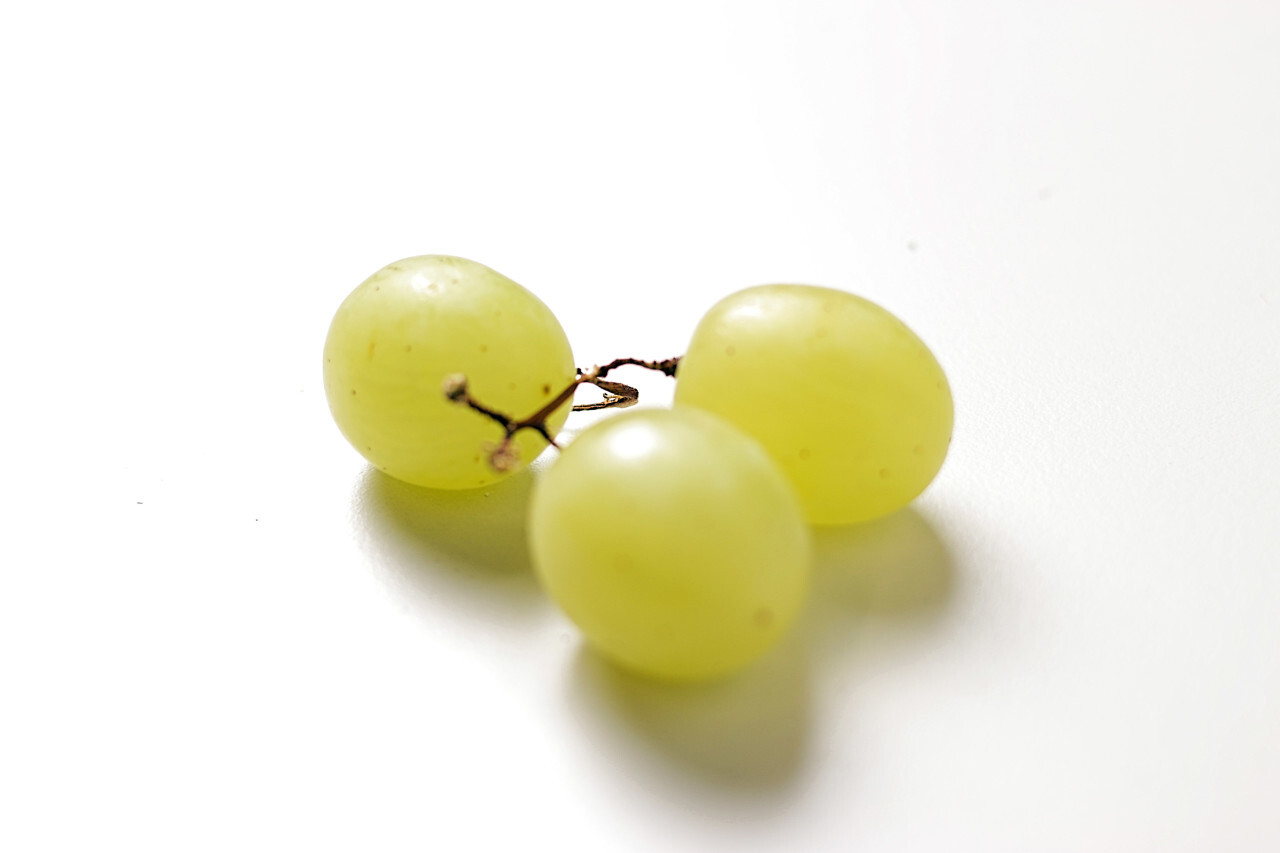 grapes on a white background