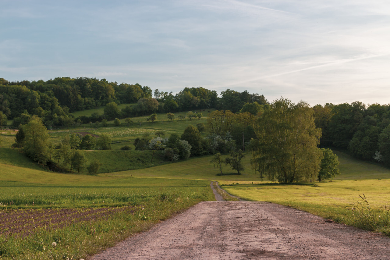 beautiful rural landscape somewhere in germany by kassel