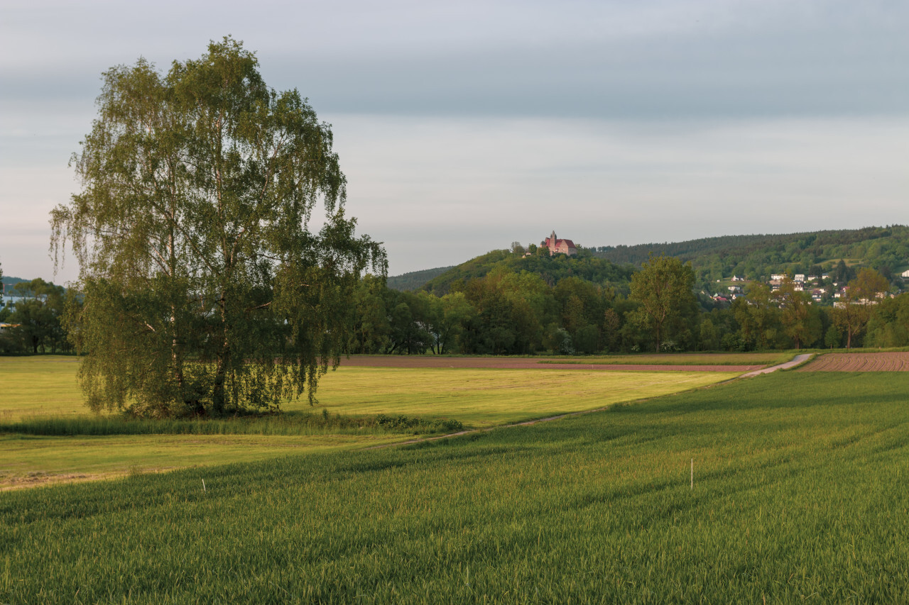beautiful rural landscape with a castle on a hill