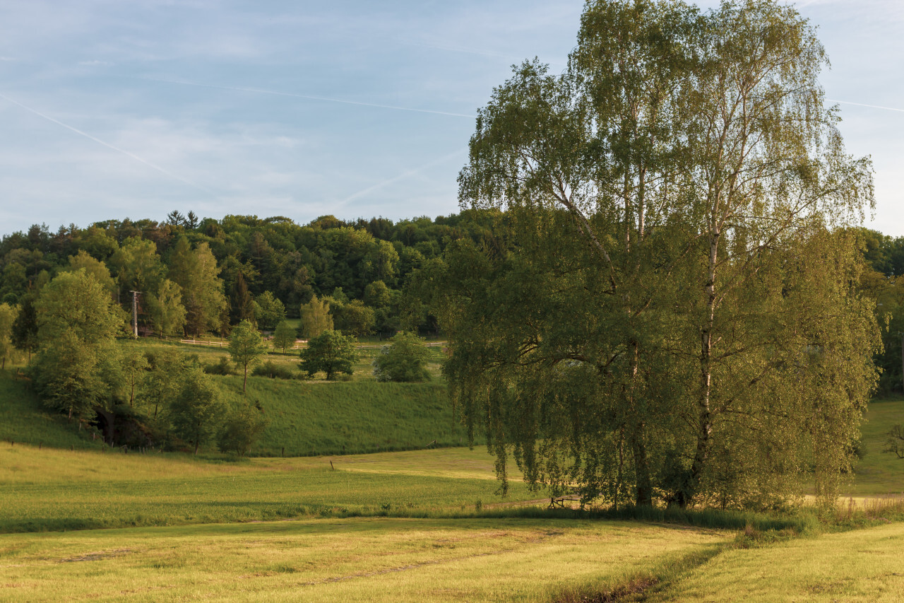 beautiful rural landscape in melsungen  by germany