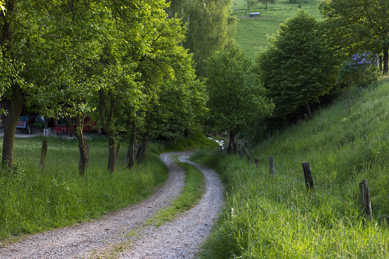 track across the fields in germany